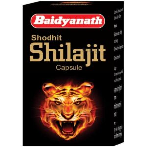 Baidyanath Shilajit Capsules- 100 Tab