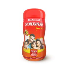 Baidyanath Chyawanprash Big Size - 500 GMS