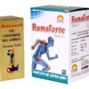 Chintamani Ras Baidyanath- 5 Tablet
