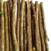 Best Neem Twig