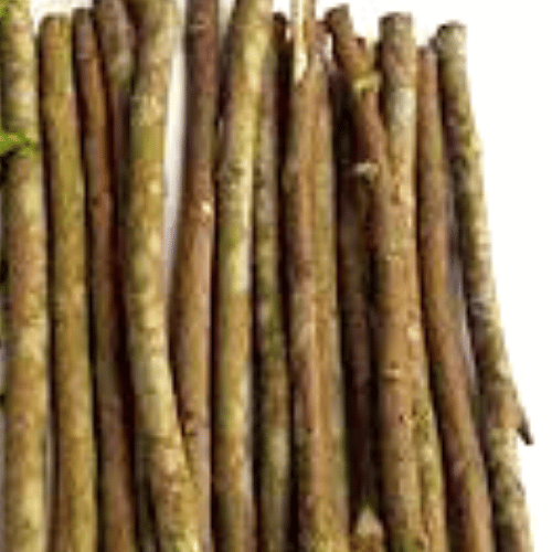 Best Neem Twig
