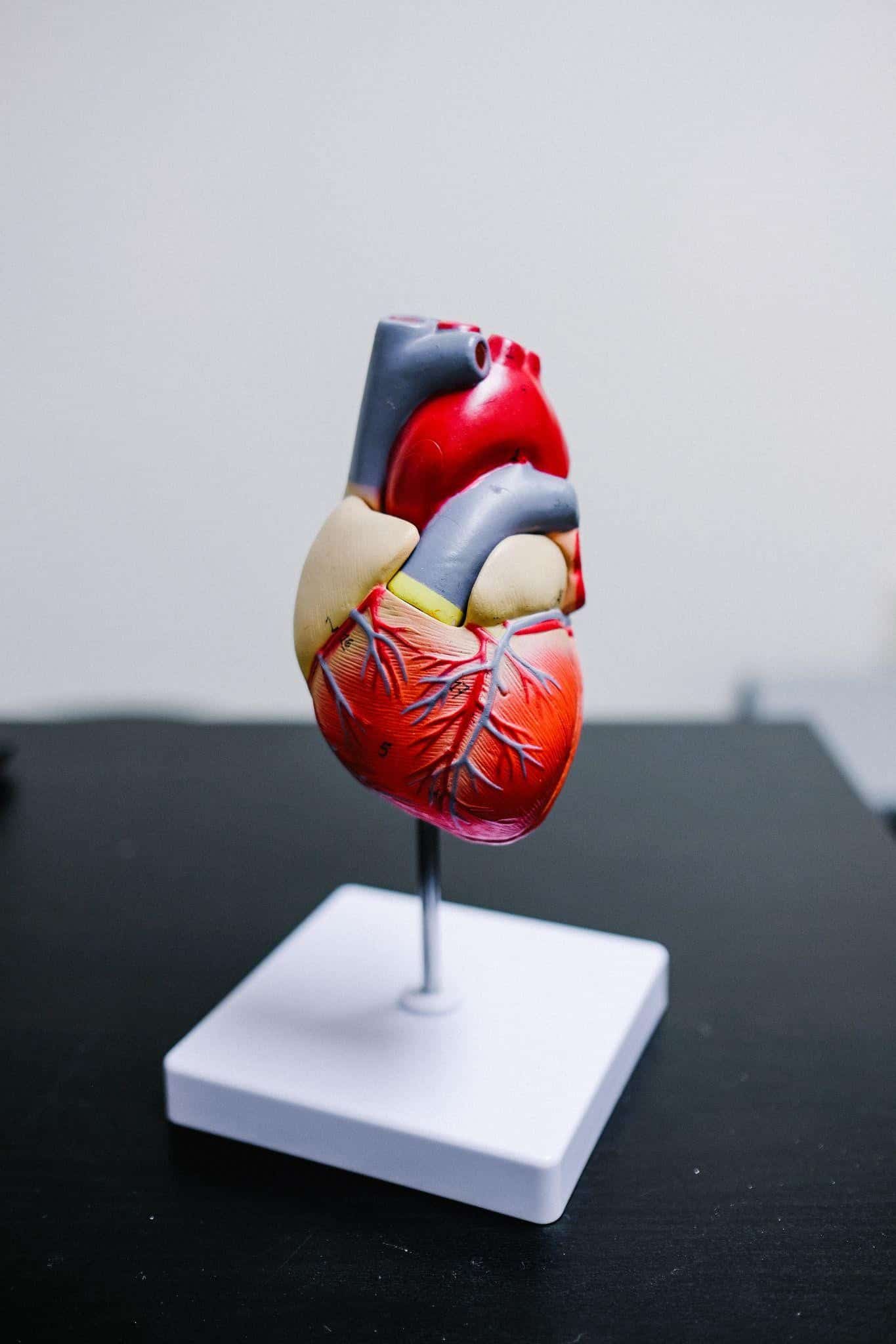 Heart Disease