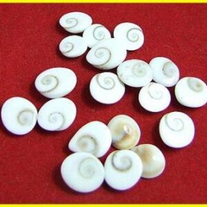 Gomati Chakra