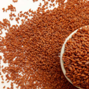 Halim Seed