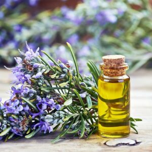 Rosemary Oil 
