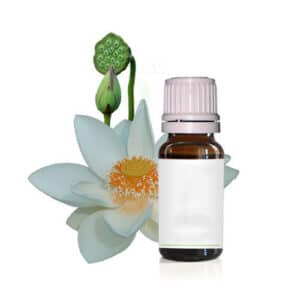 White Lotus Oil Review