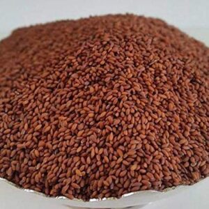 Aliv Seeds