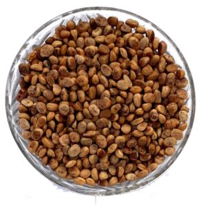 Charoli Seeds(100 gm)