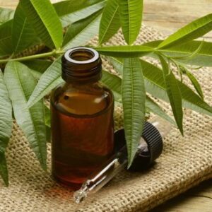Potion Tree(60 ml)