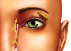 Ayurvedic Eye Treatment