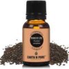 Babchi Oil