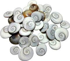 Gomti Chakra
