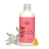 Ginger Hand Lotion
