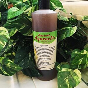 Ancient Ayurvedic Herbal Hair Therapy Shampoo
