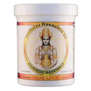 Ayurvedic Rasayanas