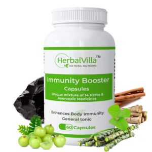 immunity booster ayurvedic medicine
