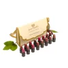 Herb Enriched Ayurvedic Lipstick
