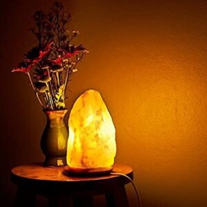 Himalayan salt lamp