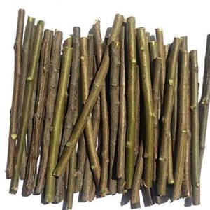 Online Galaxy Ayurvedic Natural Organic Neem Datun Toothbrush