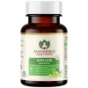 Maharishi Ayurveda Organic Amalaki Tablet