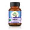 Organic India Brahmi Veg Capsule