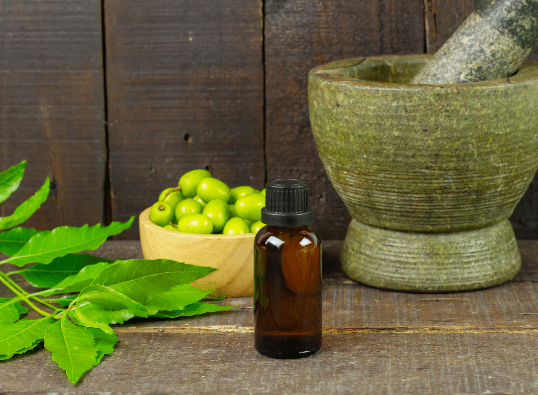 ayurvedic panchakarma